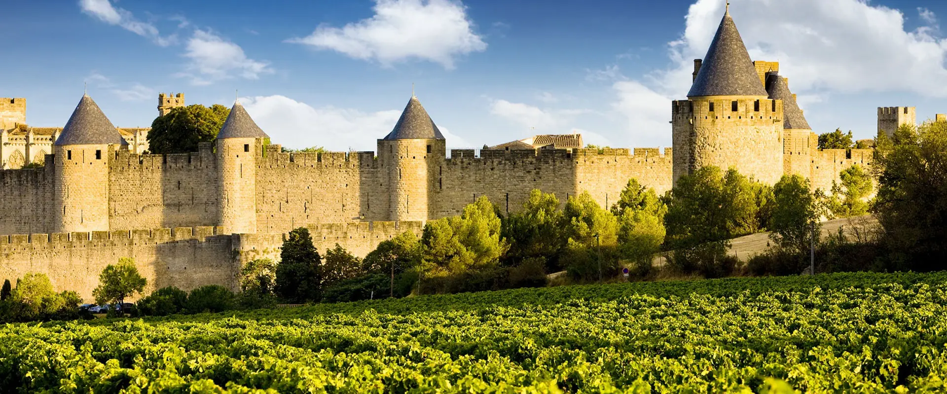 food-wine-south-france-tour-detail.jpg