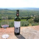 Wine Tasting at Brolio Castle in Tuscany